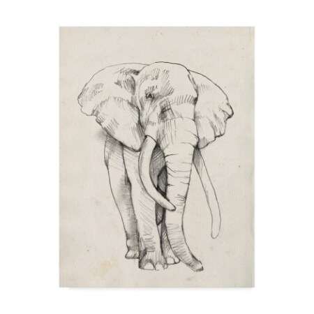 Jennifer Goldberger 'Elephant Portrait Bold Ii' Canvas Art,14x19